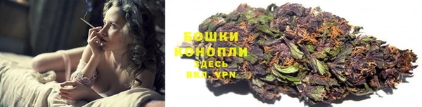 крисы Арсеньев