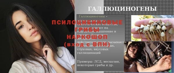 крисы Арсеньев